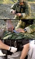 Ножиці Leatherman Raptor Tan Чохол Utility (832174)